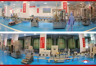 视察彰显关怀，安全与创新并举——金正恩同志指导海鲜酱加工厂发展