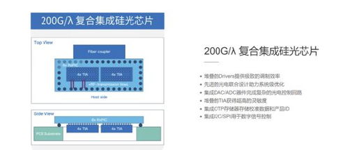 CPO概念股再度上演涨停潮，挖掘低位品种与技术开发新机遇
